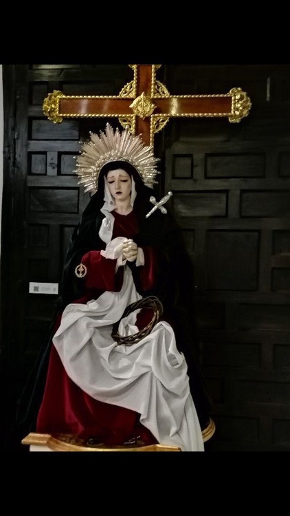 Visión de la Soledad